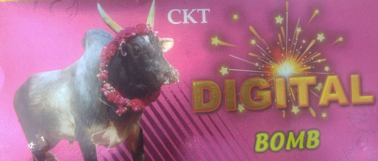 DTS Bomb